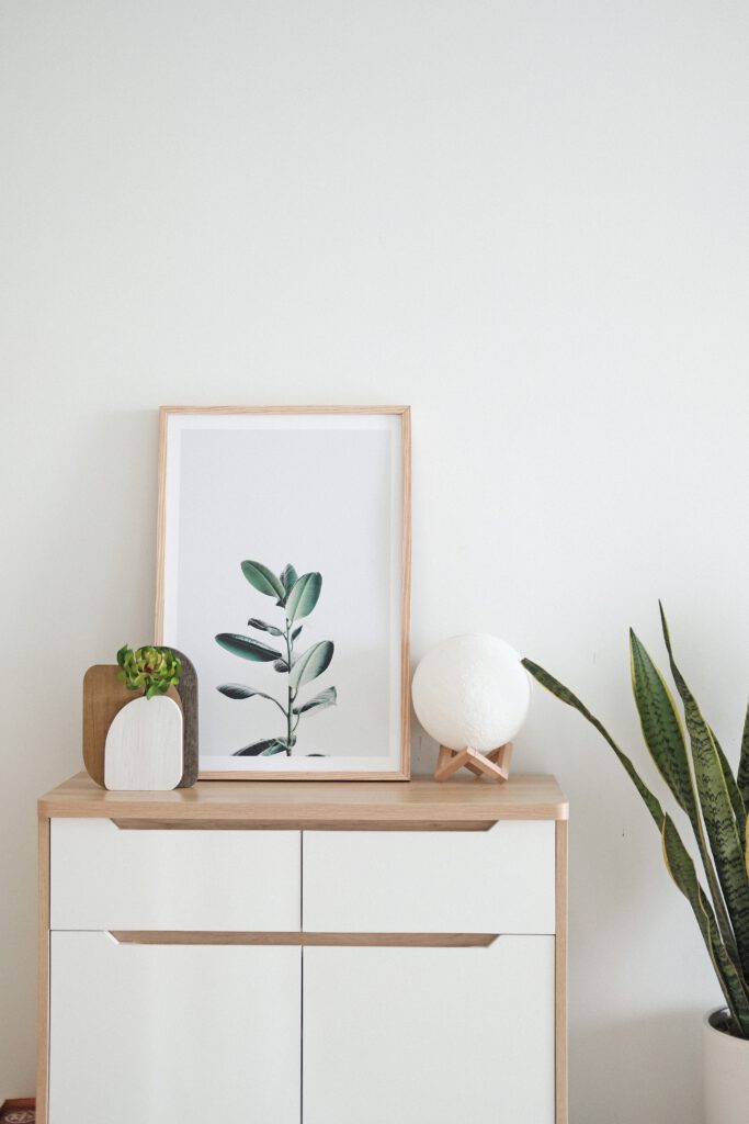 Creatief decoreren met planten: Groen als thema 3 Mimimalistisch woonstijl interieur met Sansevieria trifasciata