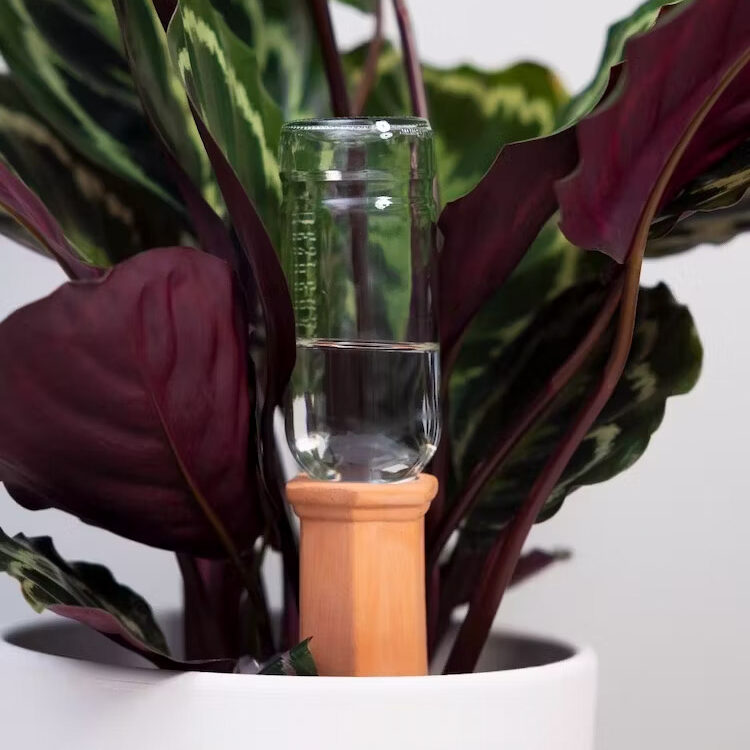 terracotta waterdruppelaar e1693932738379